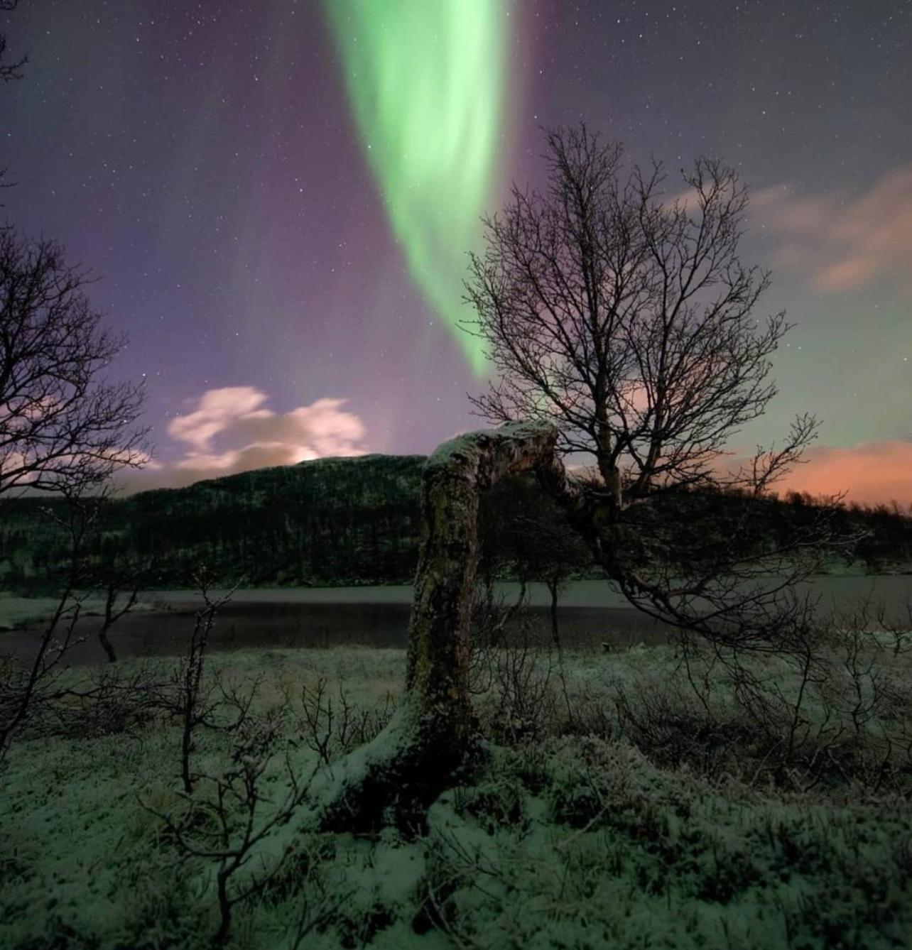 Appartamento Harstad, All Seasons Esterno foto