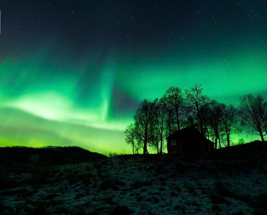 Harstad, All Seasons Esterno foto