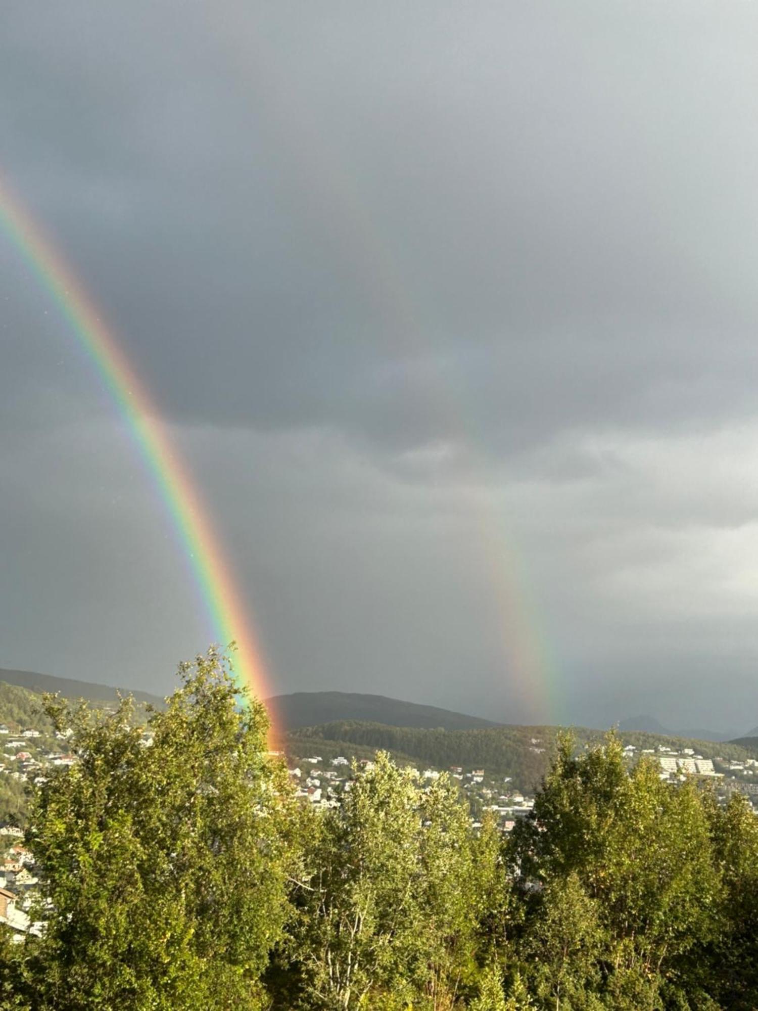 Appartamento Harstad, All Seasons Esterno foto